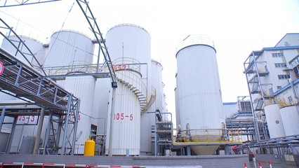 泰州口岸上半年大豆進口量領跑全省，糧油倉儲服務持續(xù)優(yōu)化